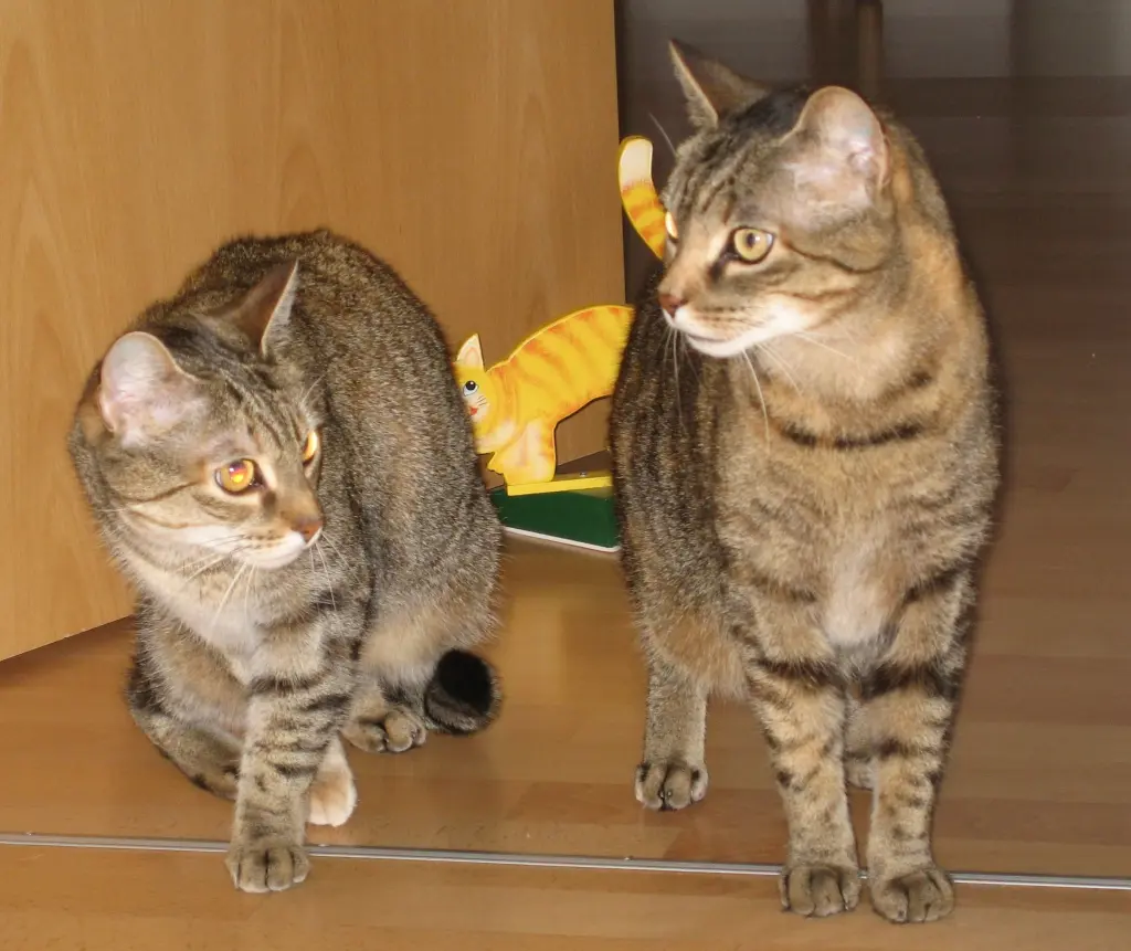 Andachtsbild von für Lissy