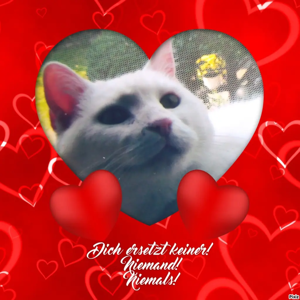 Andachtsbild von Für Dich mein kleines schneeweißes Lieslchen ♥️