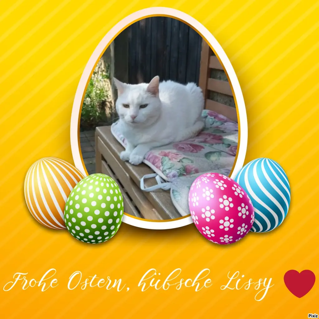 Andachtsbild von Timmys Mutti Tanja an Sternenprinzessin Lissy ❤