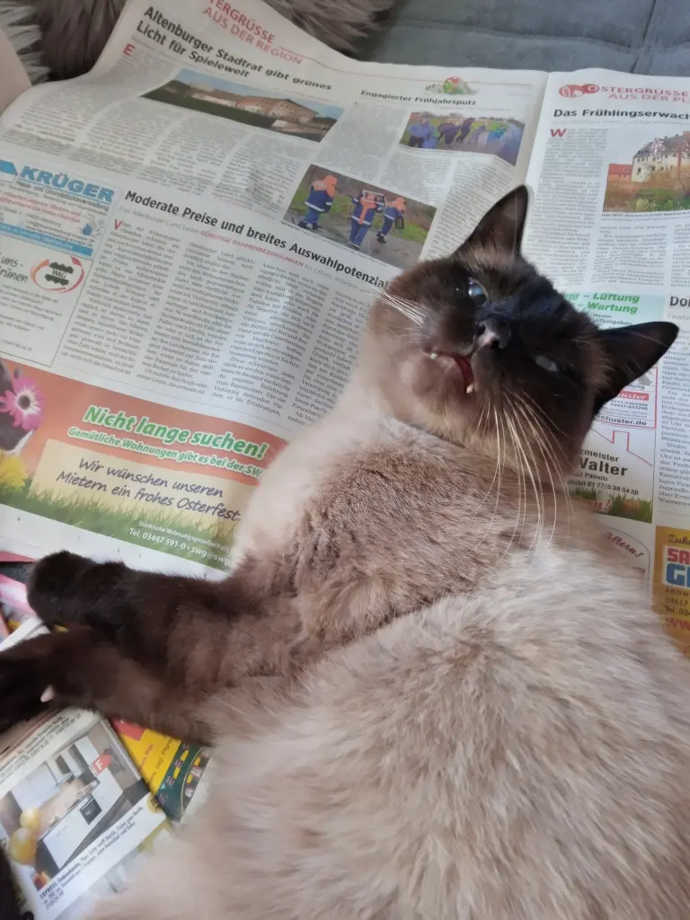 Andachtsbild von Für Dich mein kleines Engelchen Lieslmaus ❤️