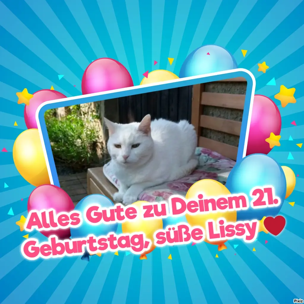 Andachtsbild von Tanja mit Timmy im Herzen 