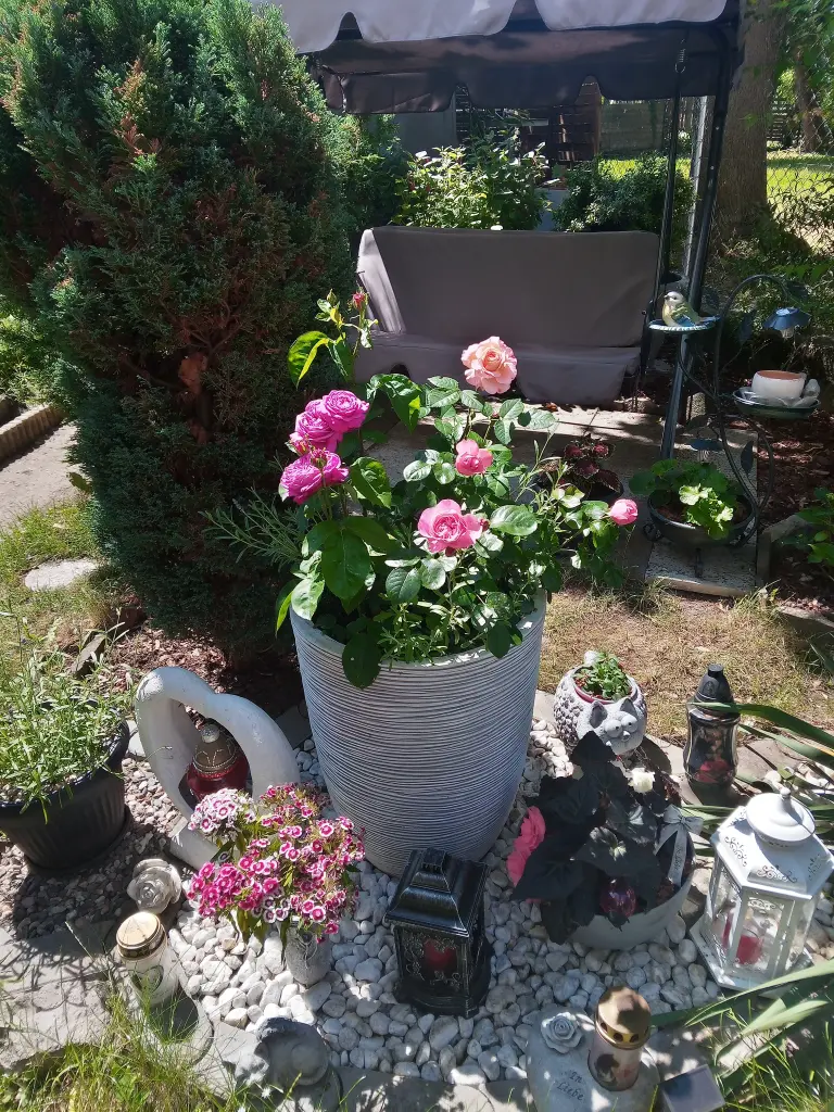 Andachtsbild von Für Dich meine kleine Liesl ❤️