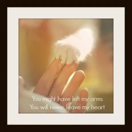 Andachtsbild von Für Dich mein kleiner Spatz Lieslchen ❤️