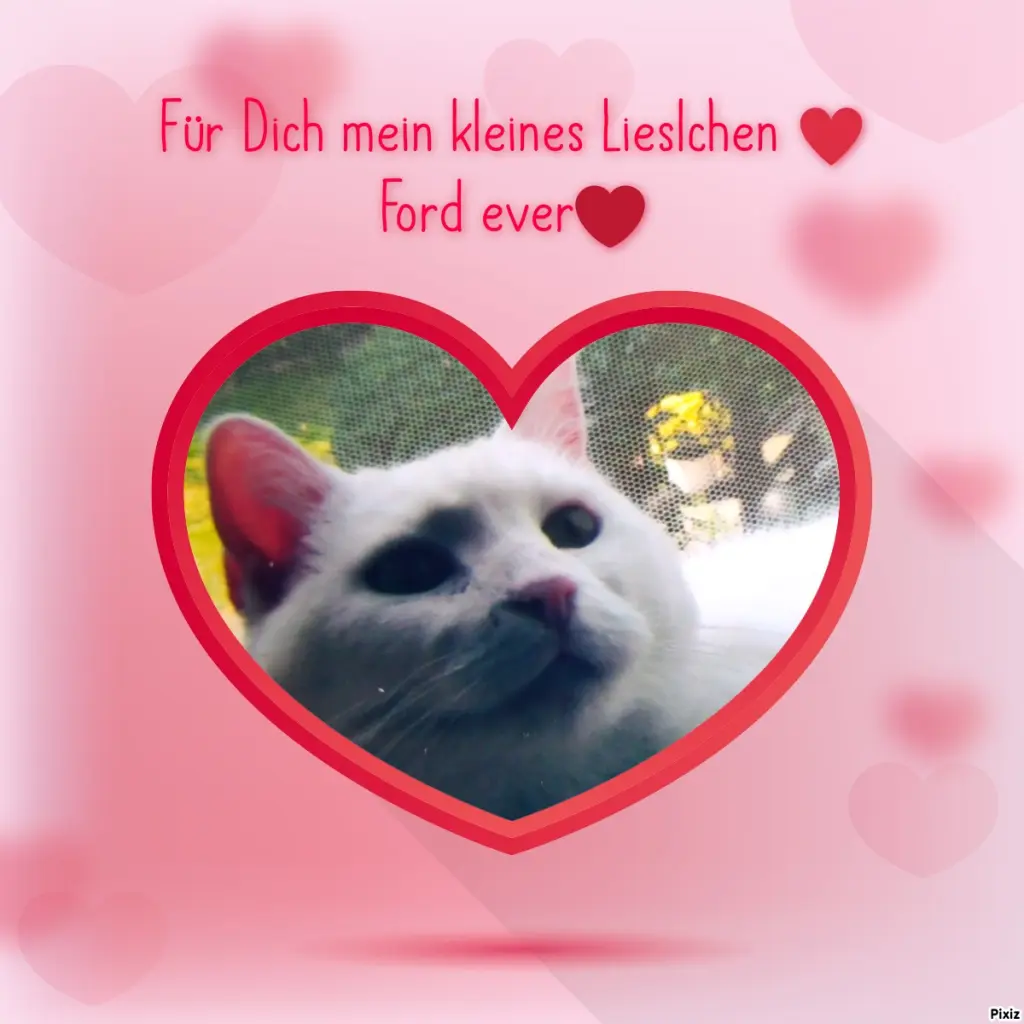 Andachtsbild von Für Dich mein kleines Schneeweisschen ♥️