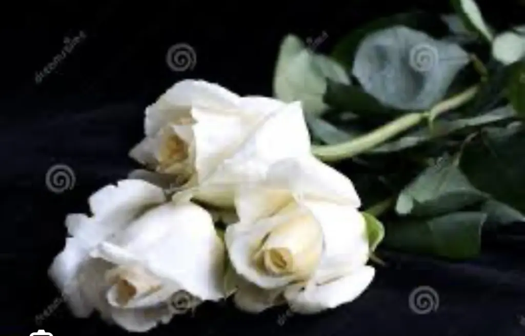 Andachtsbild von An Lissy und Netti