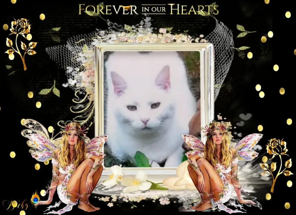 Andachtsbild von Andrea mit Minki im ♥️