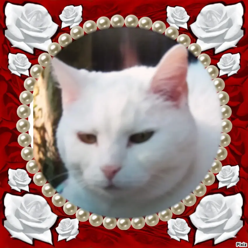 Andachtsbild von Für Dich mein liebes kleines Lieslchen ❤️