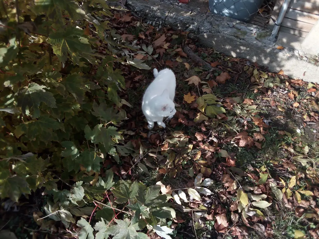 Andachtsbild von Für Dich meine Mausl Liesl ♥️