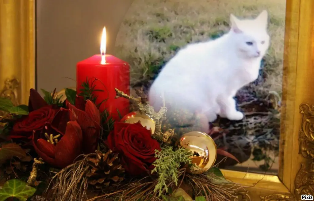 Andachtsbild von Patricia mit Bunny ❤️ 