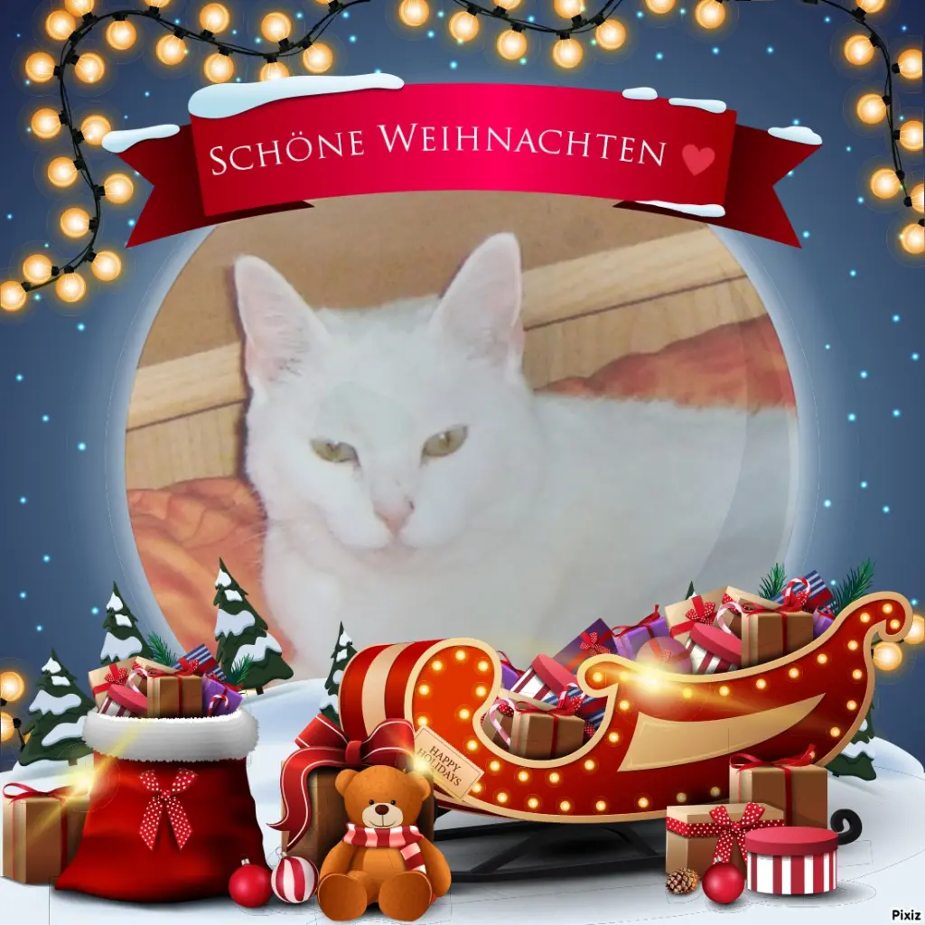 Andachtsbild von Für Dich mein liebes kleines Lieslchen ❤️