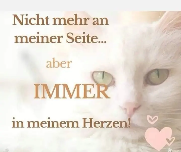 Andachtsbild von Für Dich mein kleines Lieslchen ♥️