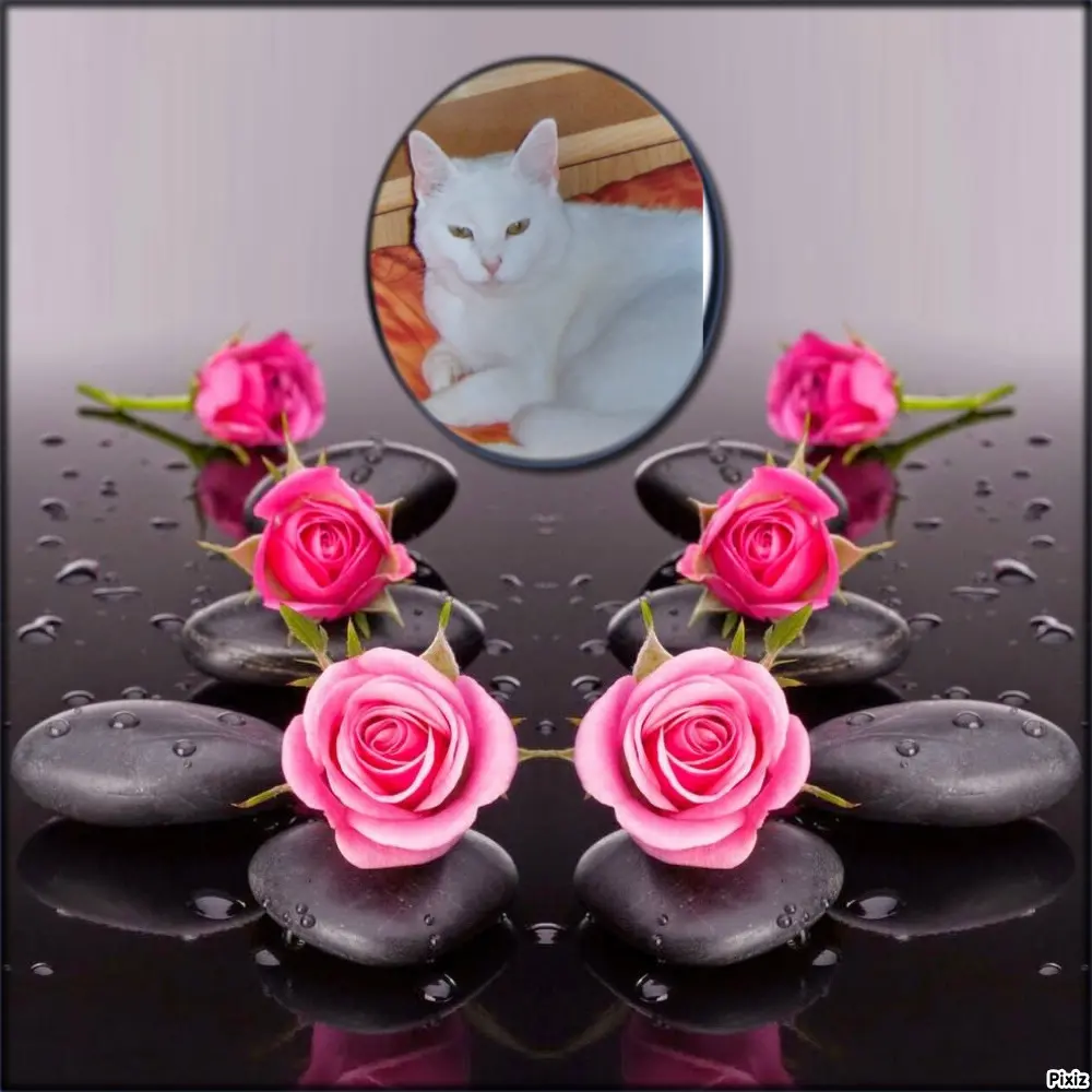 Andachtsbild von Für Dich mein kleines Lieslchen ♥️