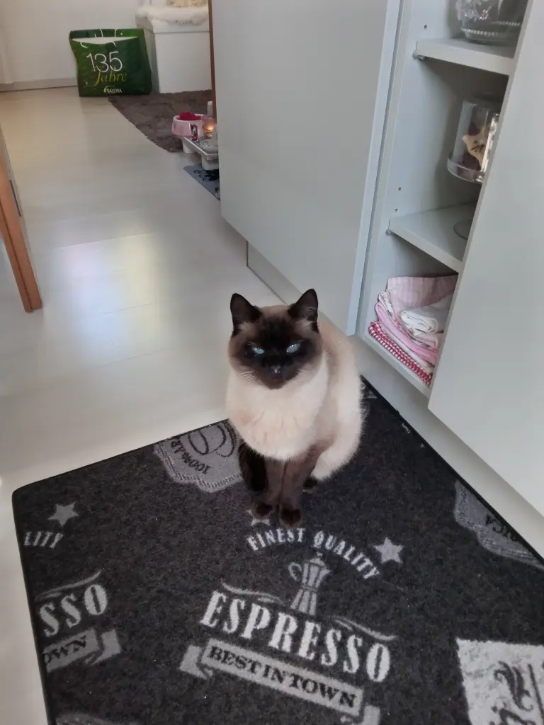 Andachtsbild von Für meinen kleinen Eisbären ♥️