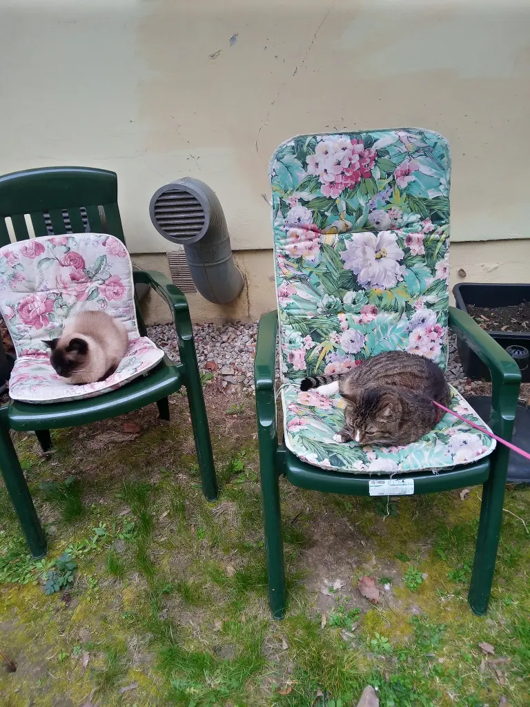 Andachtsbild von Für Dich mein kleines Lieslchen ♥️