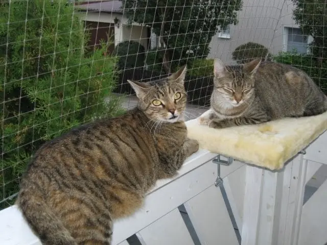 Andachtsbild von Elisabeth mit Marple, Christie und Arafat im♥