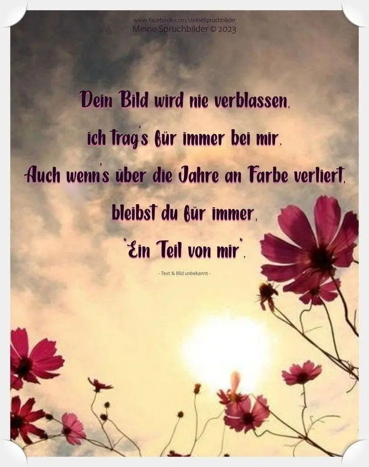 Andachtsbild von Für Dich meine kleine Liesl♥️