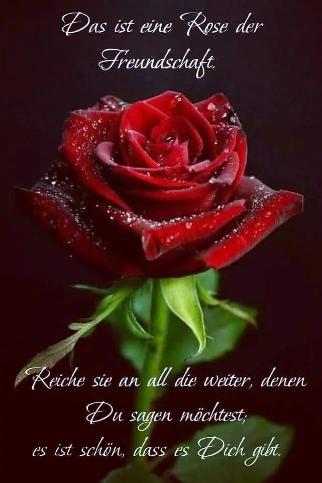 Andachtsbild von Für mein kleines Lieslchen ♥️