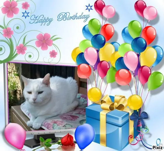 Andachtsbild von Tanja mit Timmy im Herzen 