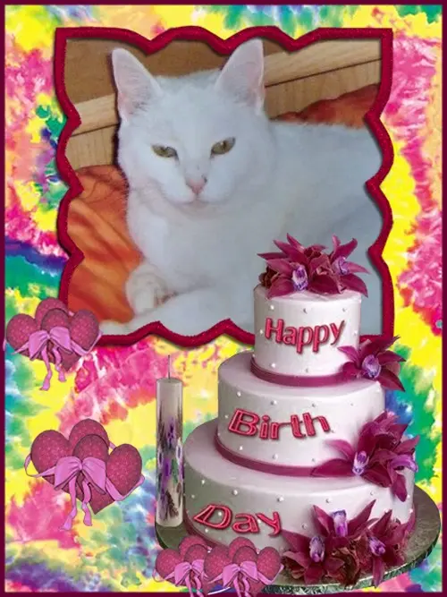 Andachtsbild von Andrea mit Minki im ♥️