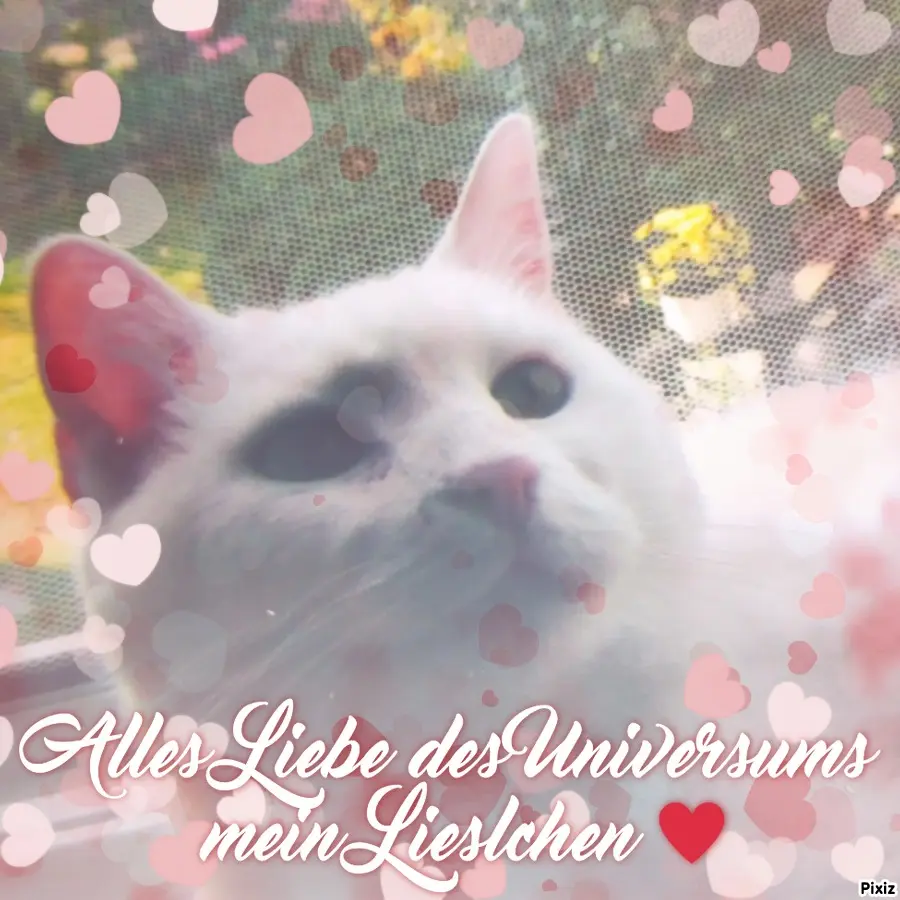 Andachtsbild von Für Dich mein kleines Geburtstagsengelchen Lieslmaus ♥️