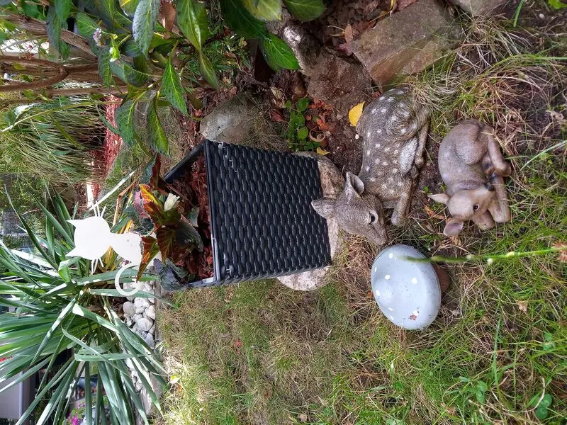 Andachtsbild von Für mein kleines Lieslchen ♥️