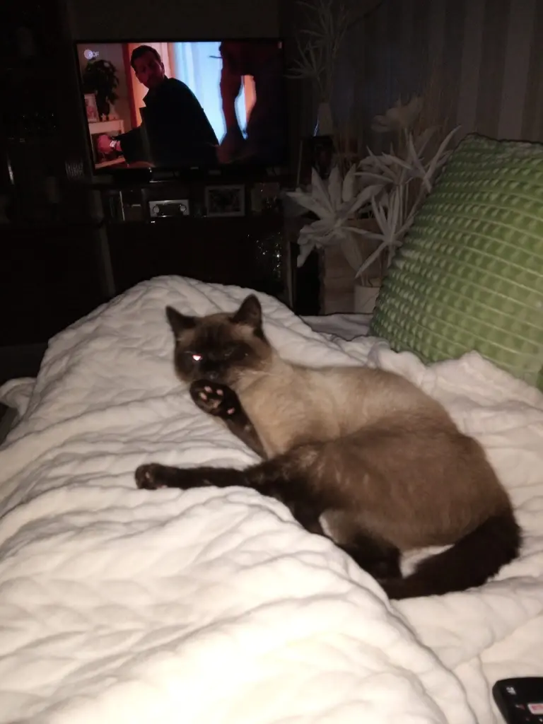 Andachtsbild von Für meine kleine Lieslmaus ❤️