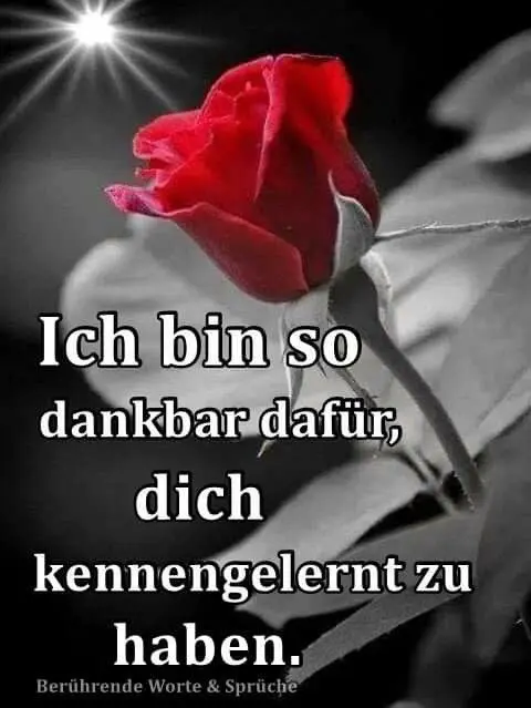 Andachtsbild von Für Dich meine liebe kleine Maus ♥️