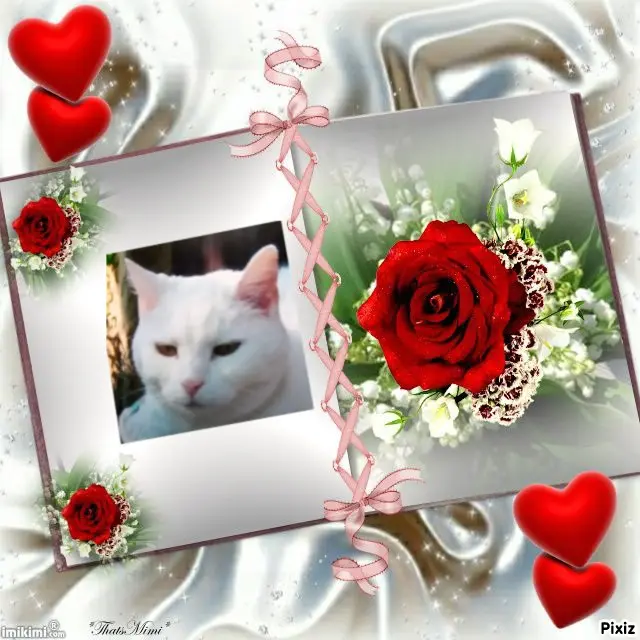 Andachtsbild von Für Dich mein liebes Lieslchen ❤️