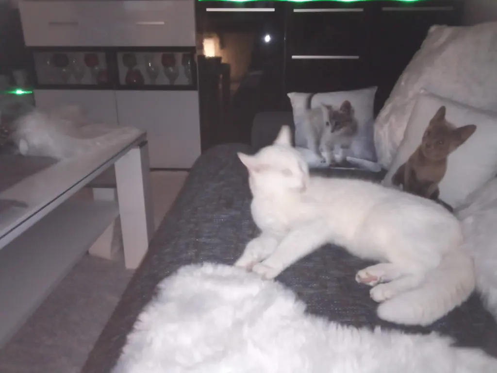 Andachtsbild von Für Dich mein liebes kleines Lieslchen ❤️