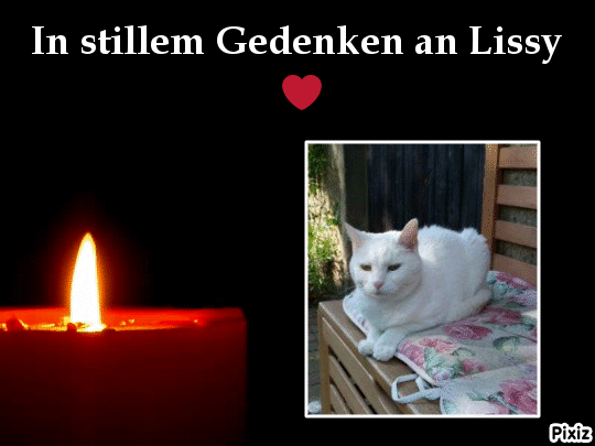 Andachtsbild von Tanja mit Timmy im Herzen