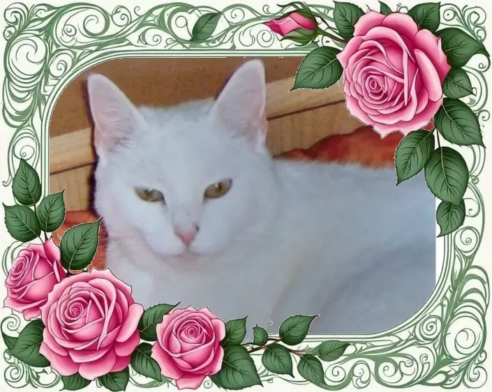 Andachtsbild von Andrea mit Minki im ♥️