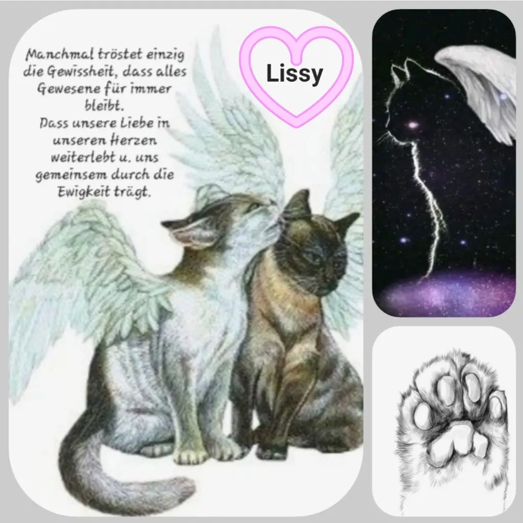 Andachtsbild von Birgit