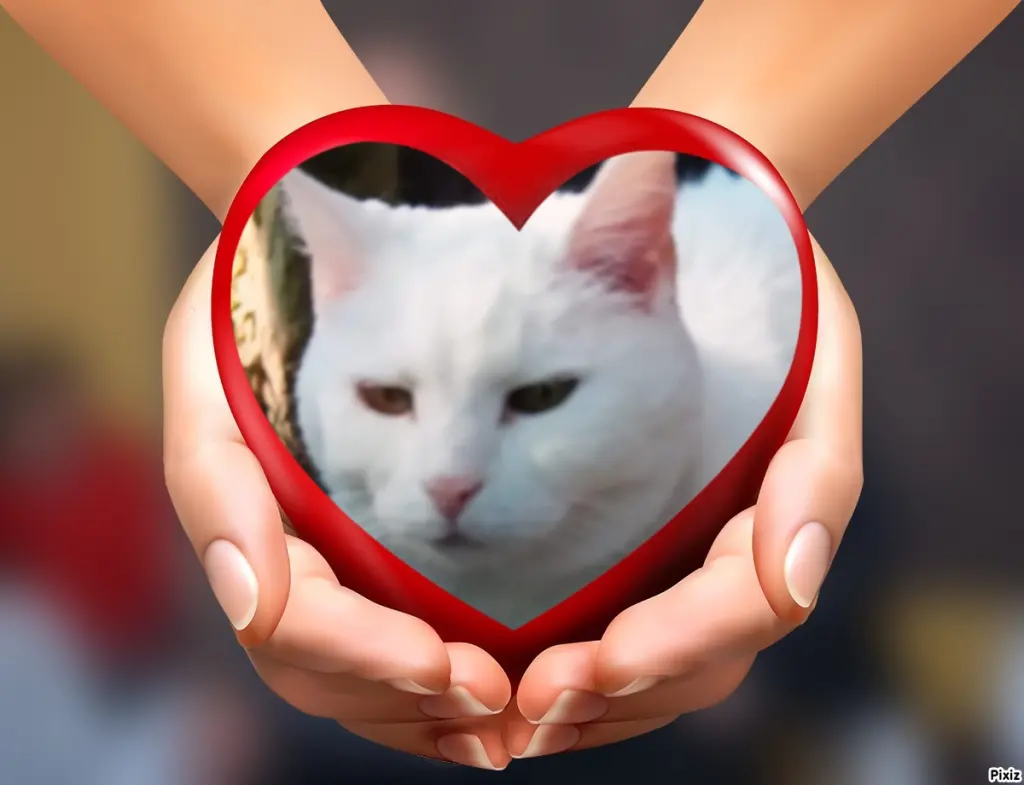 Andachtsbild von Für immer und ewig ♥️