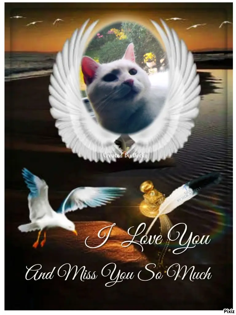 Andachtsbild von Für unser liebes Lieschen ♥️