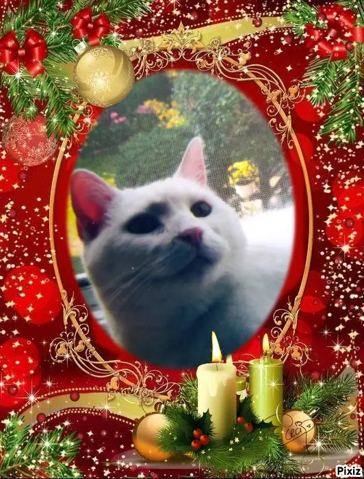 Andachtsbild von Für Dich meine kleine Lieslmaus ❤️