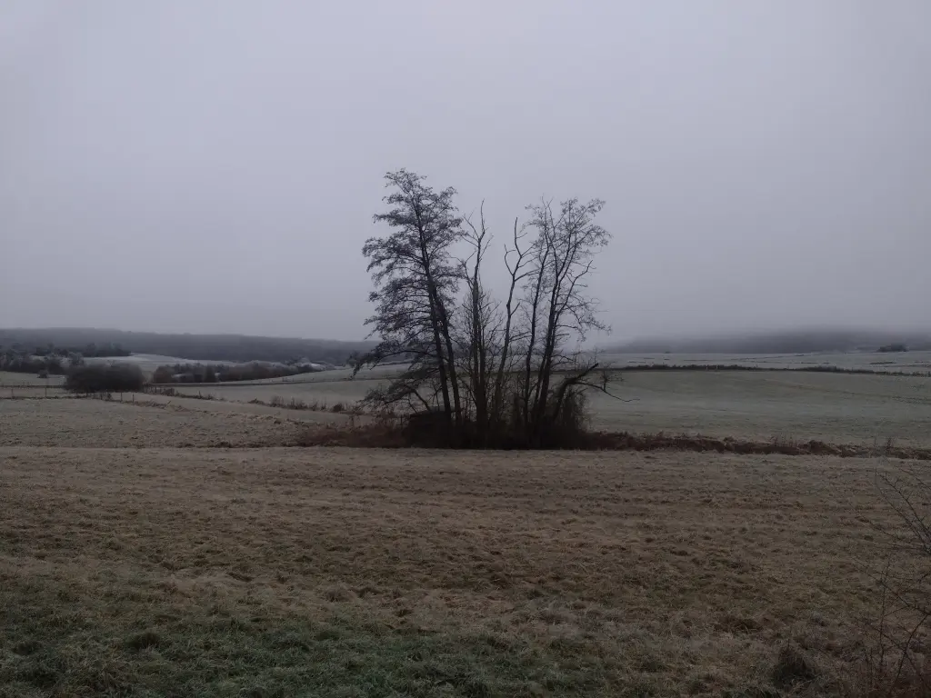 Andachtsbild von Corinna mit Emma, Vinni-Ved,Jengi, Blacky, Pummelchen und anderen Sternlein im Herzen