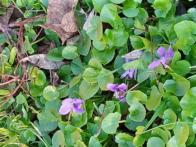 Andachtsbild von Für mein kleines Lieslchen ♥️