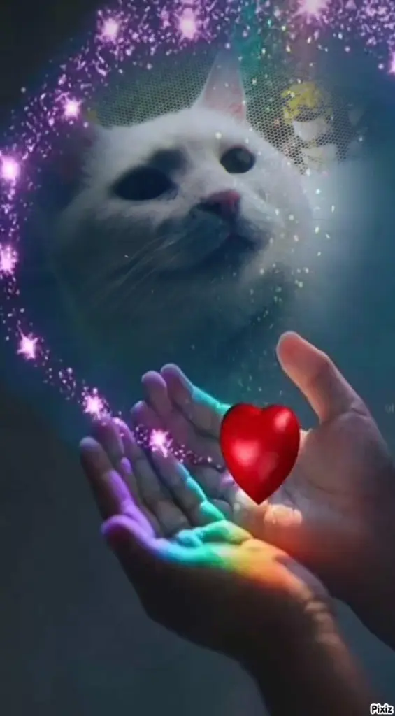 Andachtsbild von Für Dich meine kleine Lieslmaus ❤️