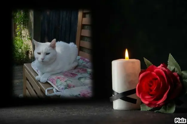 Andachtsbild von Tanja mit Timmy im Herzen