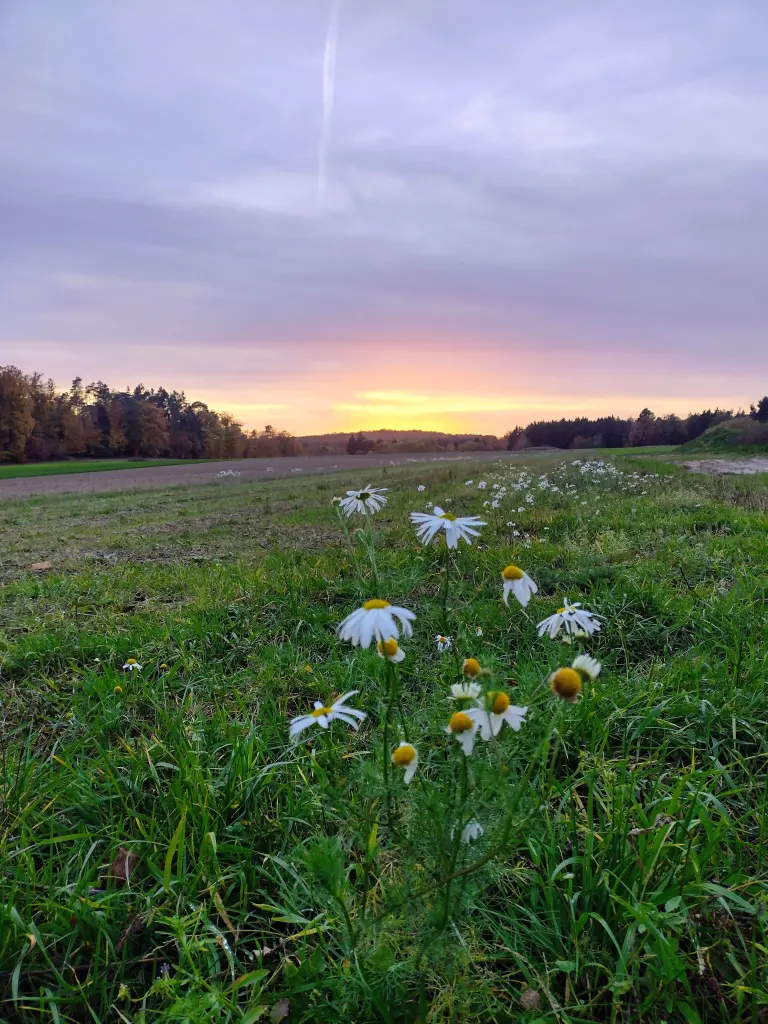 Andachtsbild von Corinna ❤️