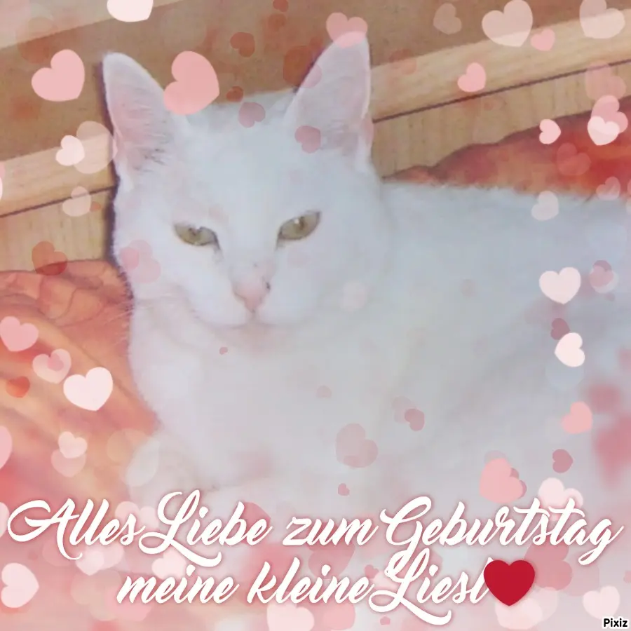 Condolence image of Für mein kleines Geburtstagssternchen Liesl❤️