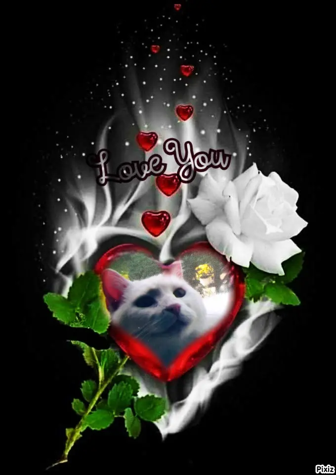Condolence image of Für meine liebste Liesl❤️