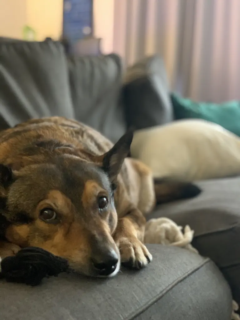 Image from Zeke