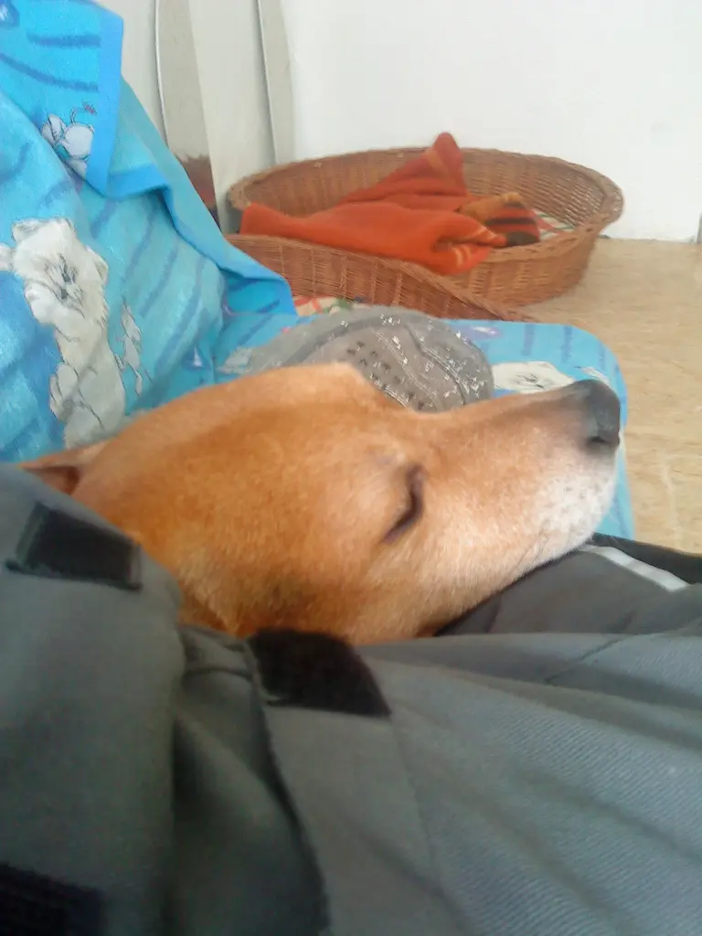 Image from Lucky