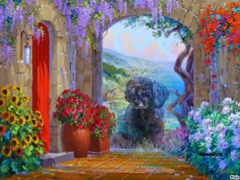 Condolence image of Patricia mit Bunny im ❤ gest. 24.11.2020