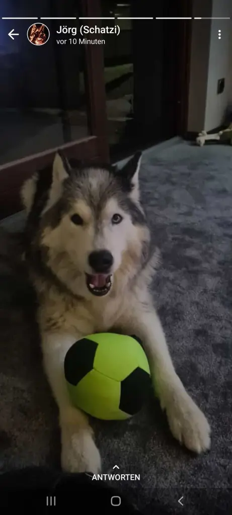 Condolence image of Jörg& Sabine mit Yukon tief im ❤