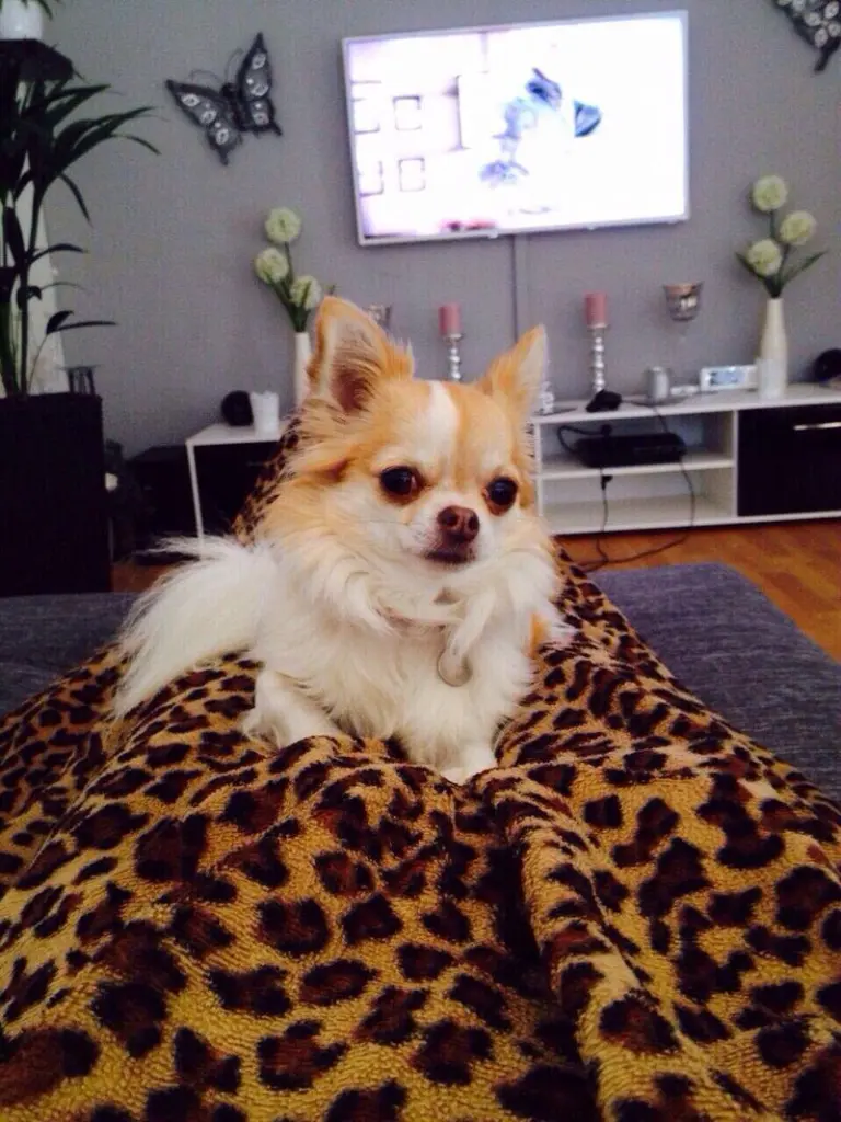 Condolence image of Birgit