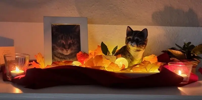 Condolence image of Carmen mit Lilly im ❤