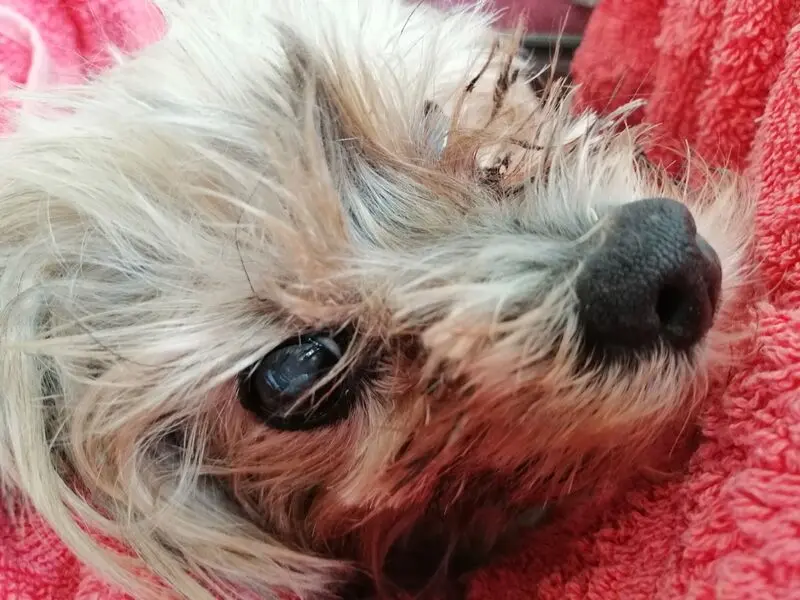 Condolence image of Unbekannt