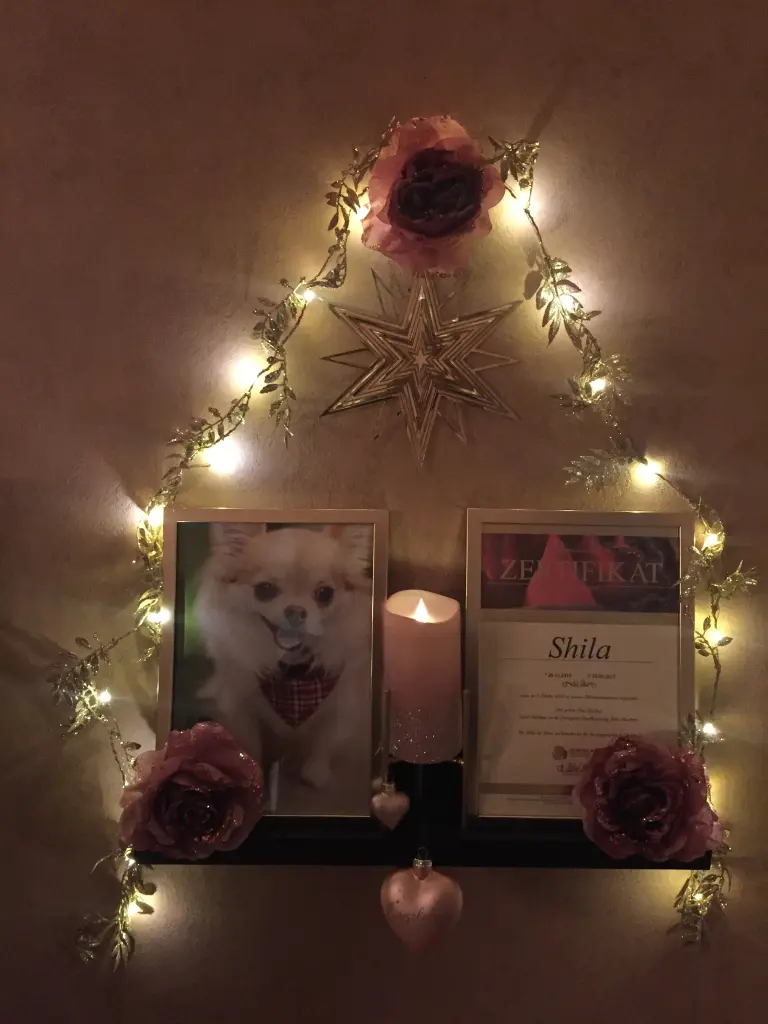 Condolence image of Birgit mit Shila im Herzen ♥️ 